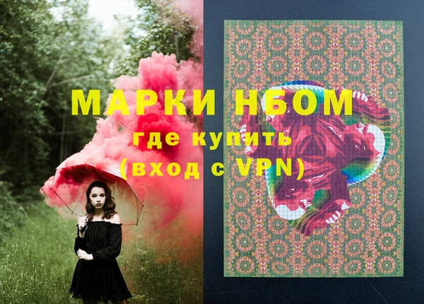 мдпв Новодвинск