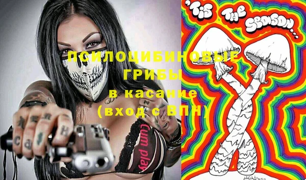 мдпв Новодвинск