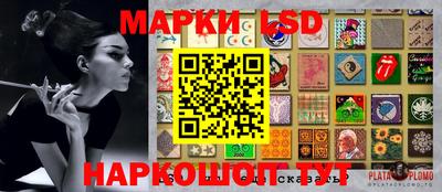 mdpv Аргун