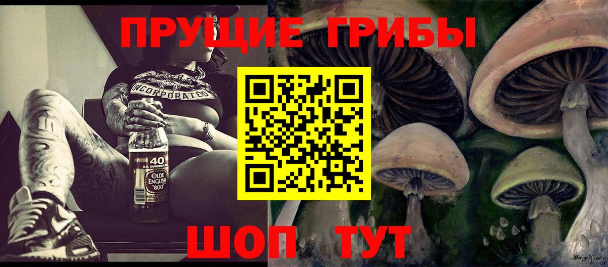 Псилоцибиновые грибы GOLDEN TEACHER  купить закладку  Бахчисарай  Псилоцибиновые грибы мухоморы  Вход с VPN 