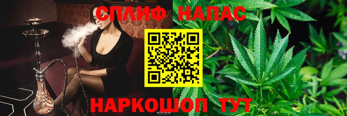 Канабис сатива Бахчисарай
